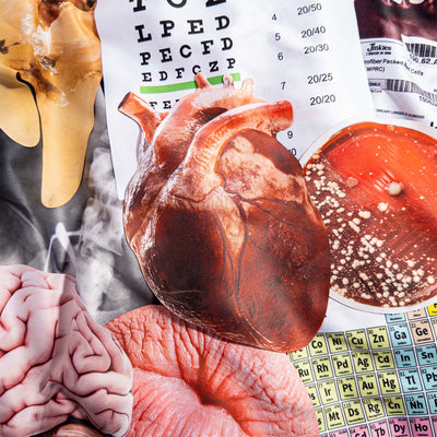Science Bundle