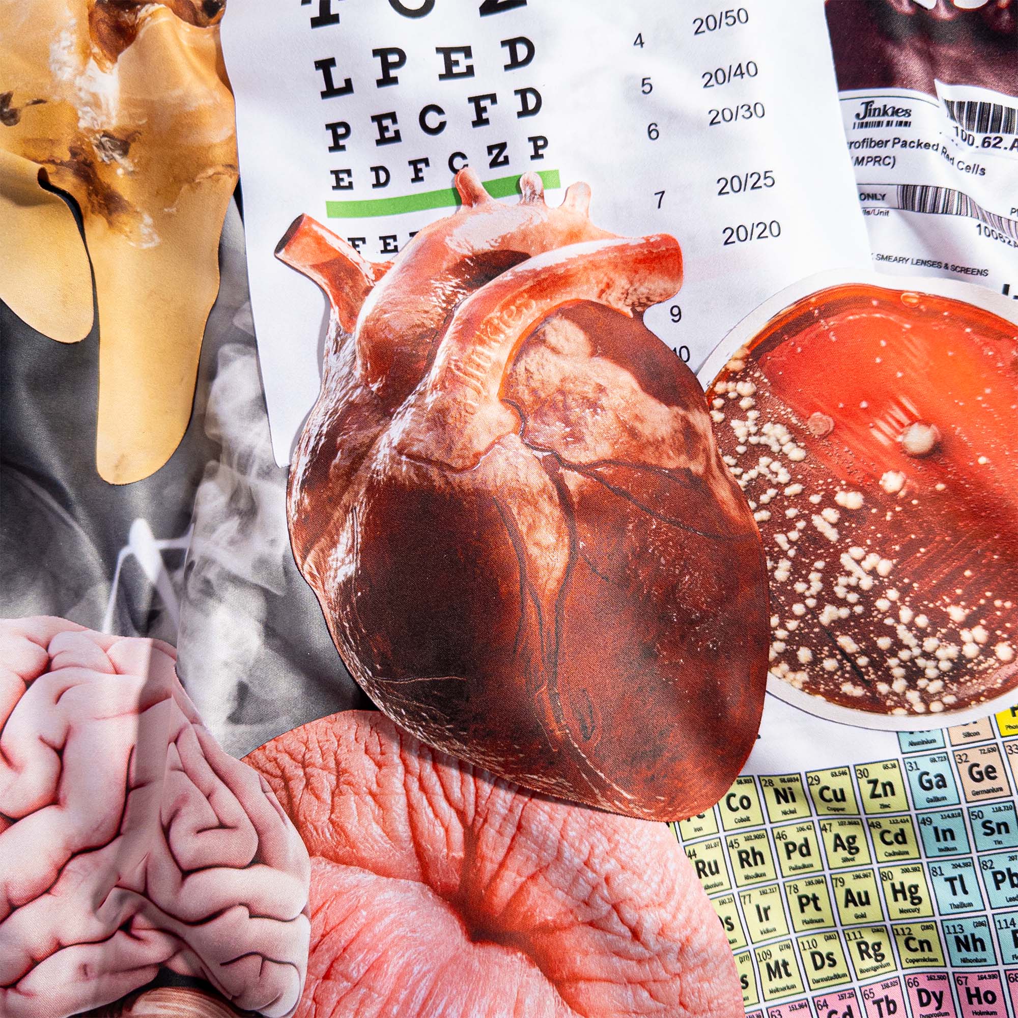 Science Bundle