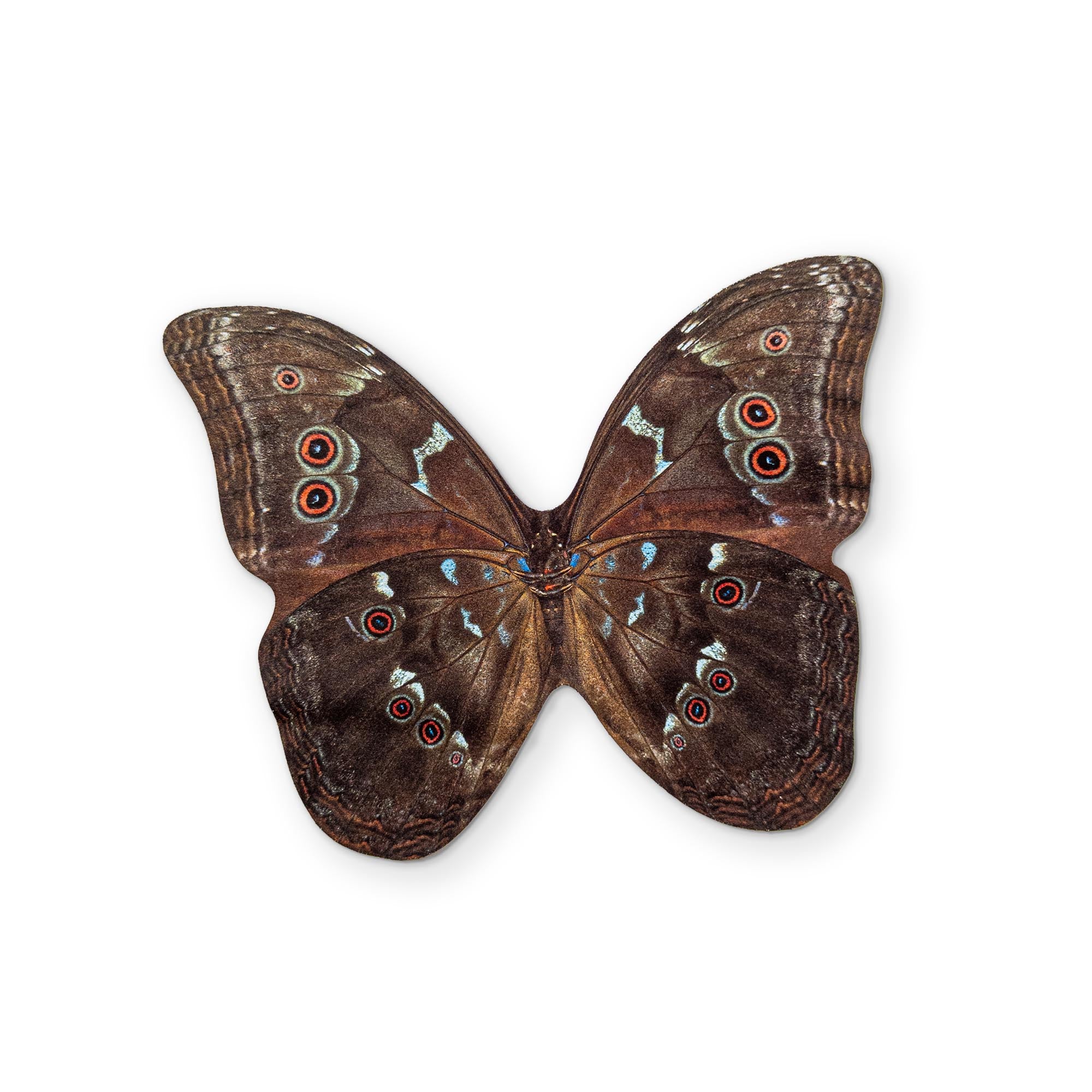 🦋 A BUTTERFLY YOU CAN CLEAN YOUR GLASSES WITH