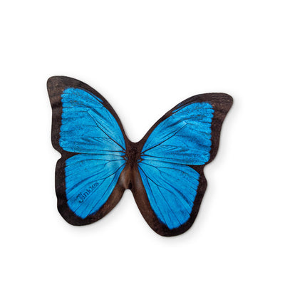 🦋 A BUTTERFLY YOU CAN CLEAN YOUR GLASSES WITH