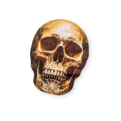 💀 A HUMAN SKULL YOU CAN CLEAN YOUR GLASSES WITH