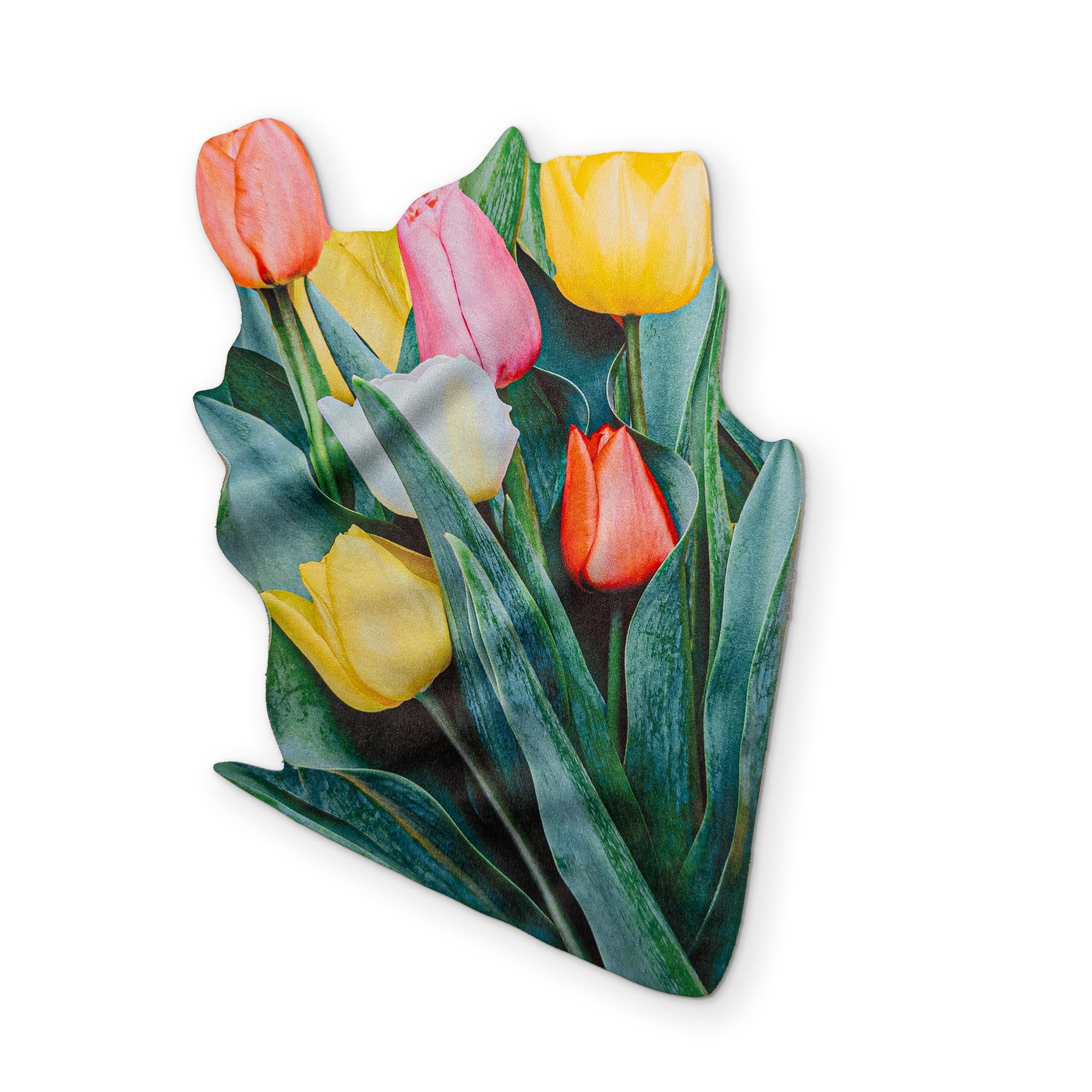 💐 A BOUQUET OF TULIPS YOU CAN CLEAN YOUR GLASSES WITH