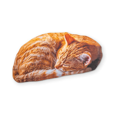 🐈 A SLEEPING CAT YOU CAN CLEAN YOUR GLASSES WITH