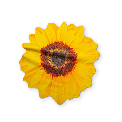 🌻 A SUNFLOWER YOU CAN CLEAN YOUR GLASSES WITH