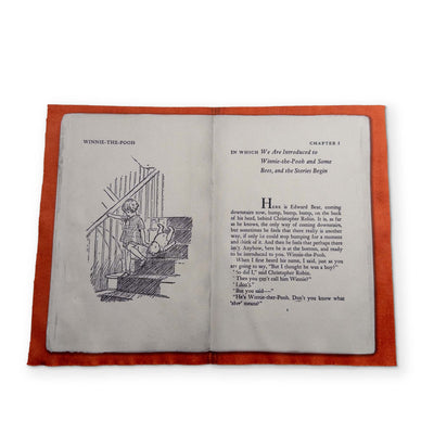 WINNIE THE POOH - A BOOK YOU CAN CLEAN YOUR GLASSES WITH