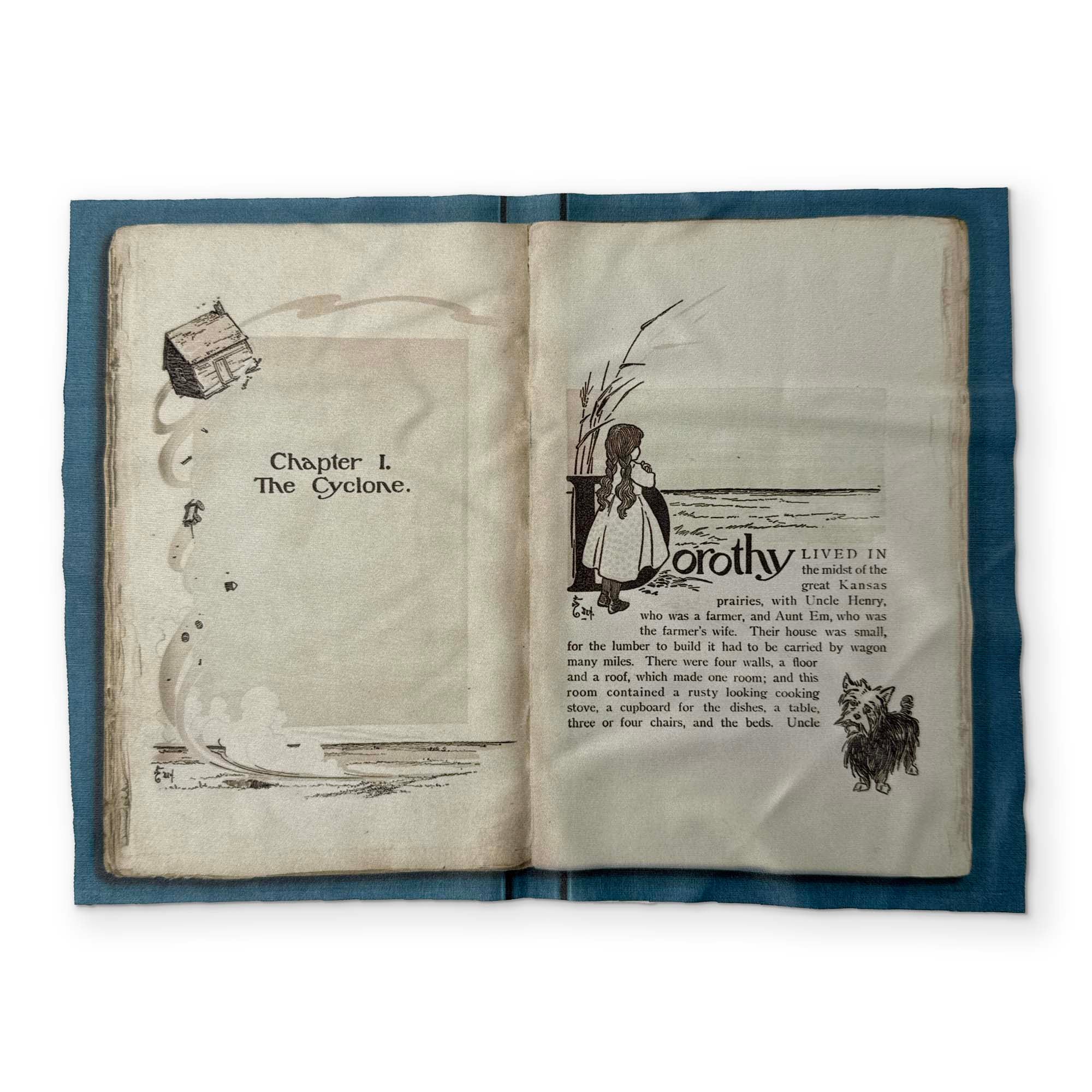 THE WIZARD OF OZ - A BOOK YOU CAN CLEAN YOUR GLASSES WITH