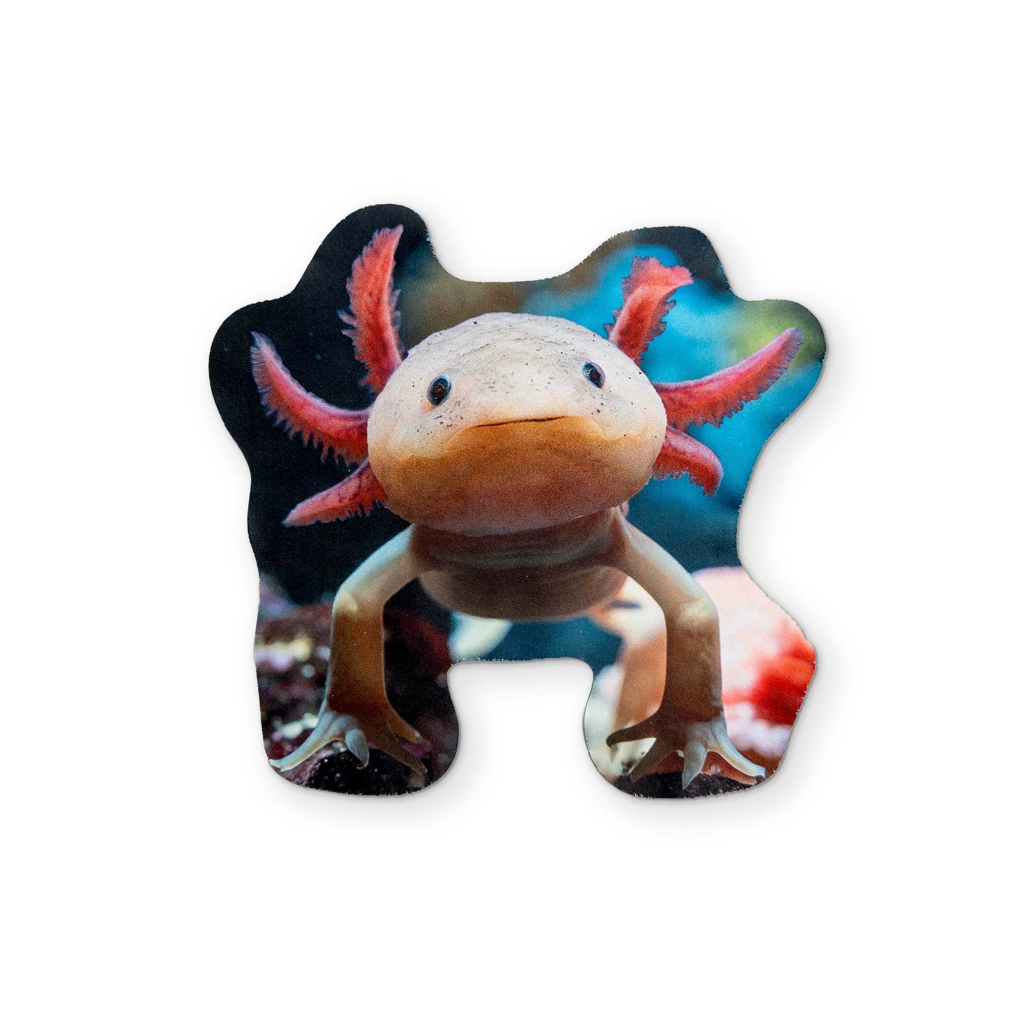 AN AXOLOTL YOU CAN CLEAN YOUR GLASSES WITH
