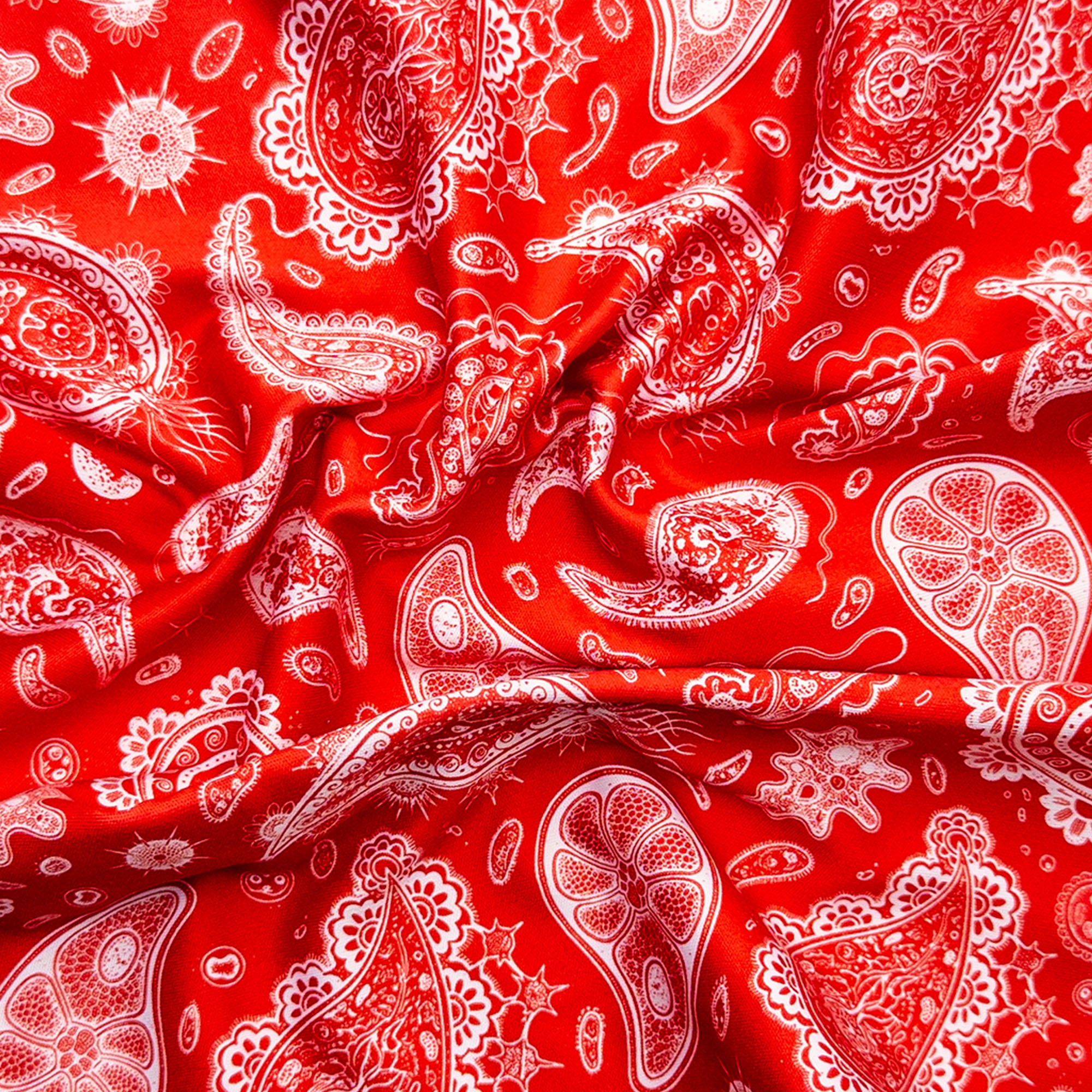 Protozoa Red - Secretly Nerdy Cleaning Cloth