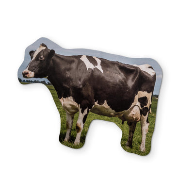 🐄 A COW YOU CAN CLEAN YOUR GLASSES WITH