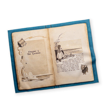 THE WIZARD OF OZ - A BOOK YOU CAN CLEAN YOUR GLASSES WITH
