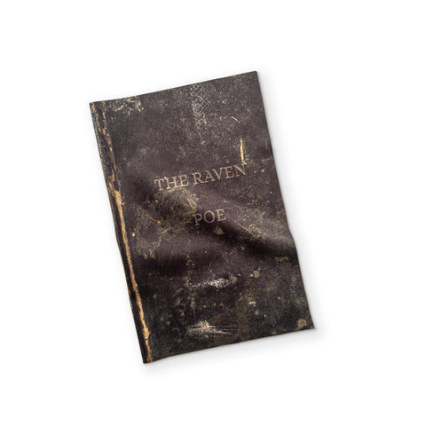 THE RAVEN - A BOOK YOU CAN CLEAN YOUR GLASSES WITH