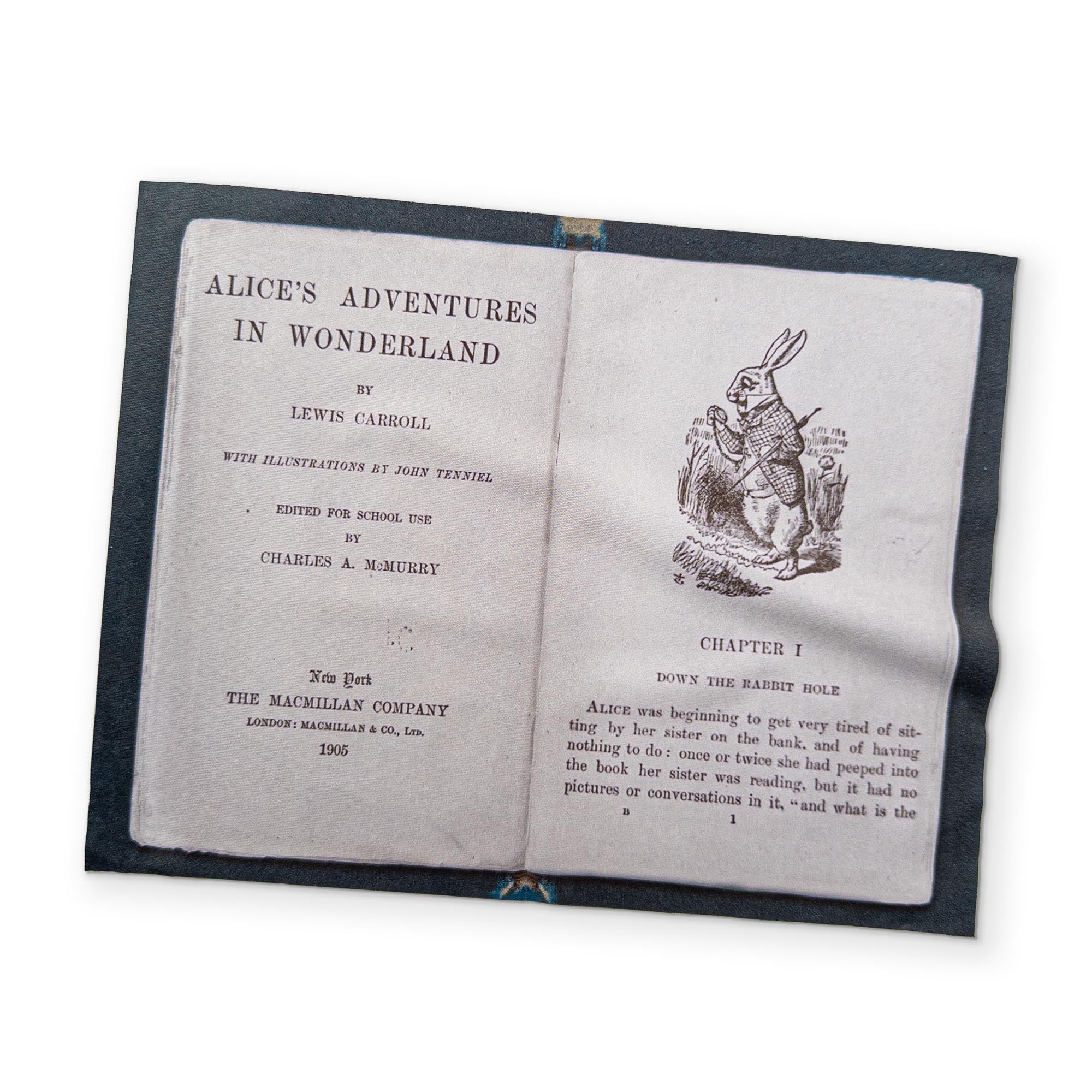 ALICE IN WONDERLAND - A BOOK YOU CAN CLEAN YOUR GLASSES WITH