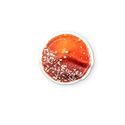 A PETRI DISH YOU CAN CLEAN YOUR GLASSES WITH