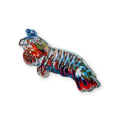 🦐 A PEACOCK MANTIS SHRIMP YOU CAN CLEAN YOUR GLASSES WITH