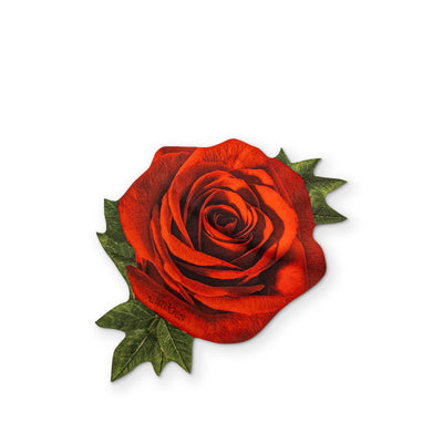 🌹 A ROSE YOU CAN CLEAN YOUR GLASSES WITH