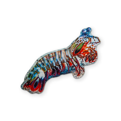 🦐 A PEACOCK MANTIS SHRIMP YOU CAN CLEAN YOUR GLASSES WITH