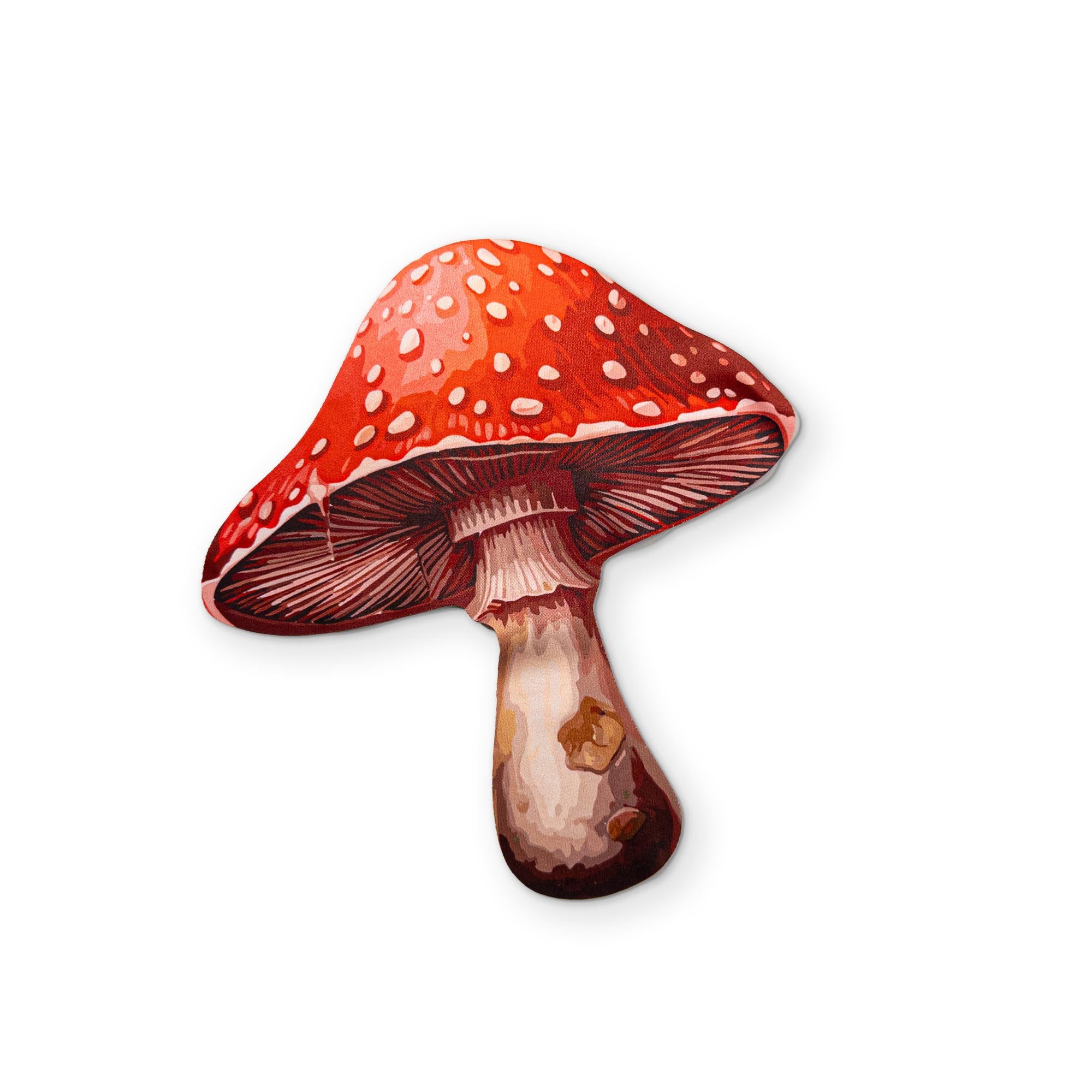 🍄 A MUSHROOM YOU CAN CLEAN YOUR GLASSES WITH
