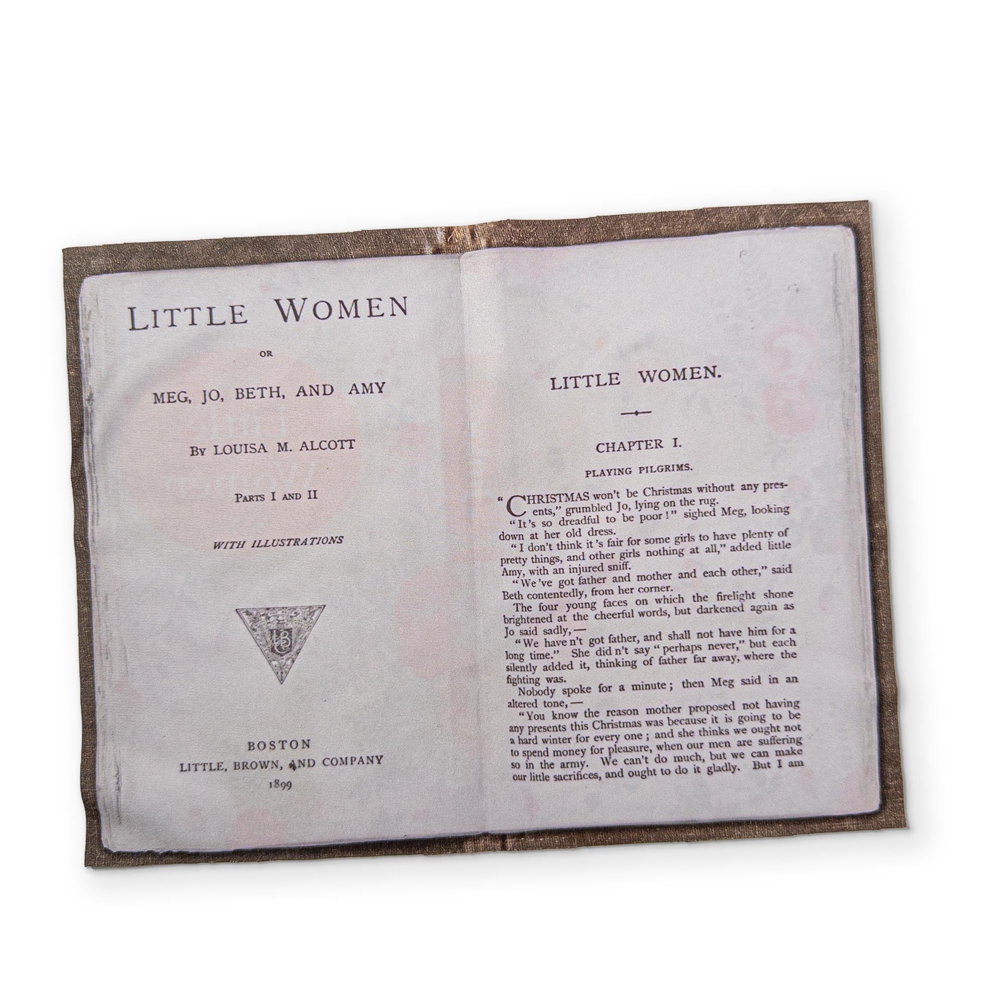 LITTLE WOMEN - A BOOK YOU CAN CLEAN YOUR GLASSES WITH