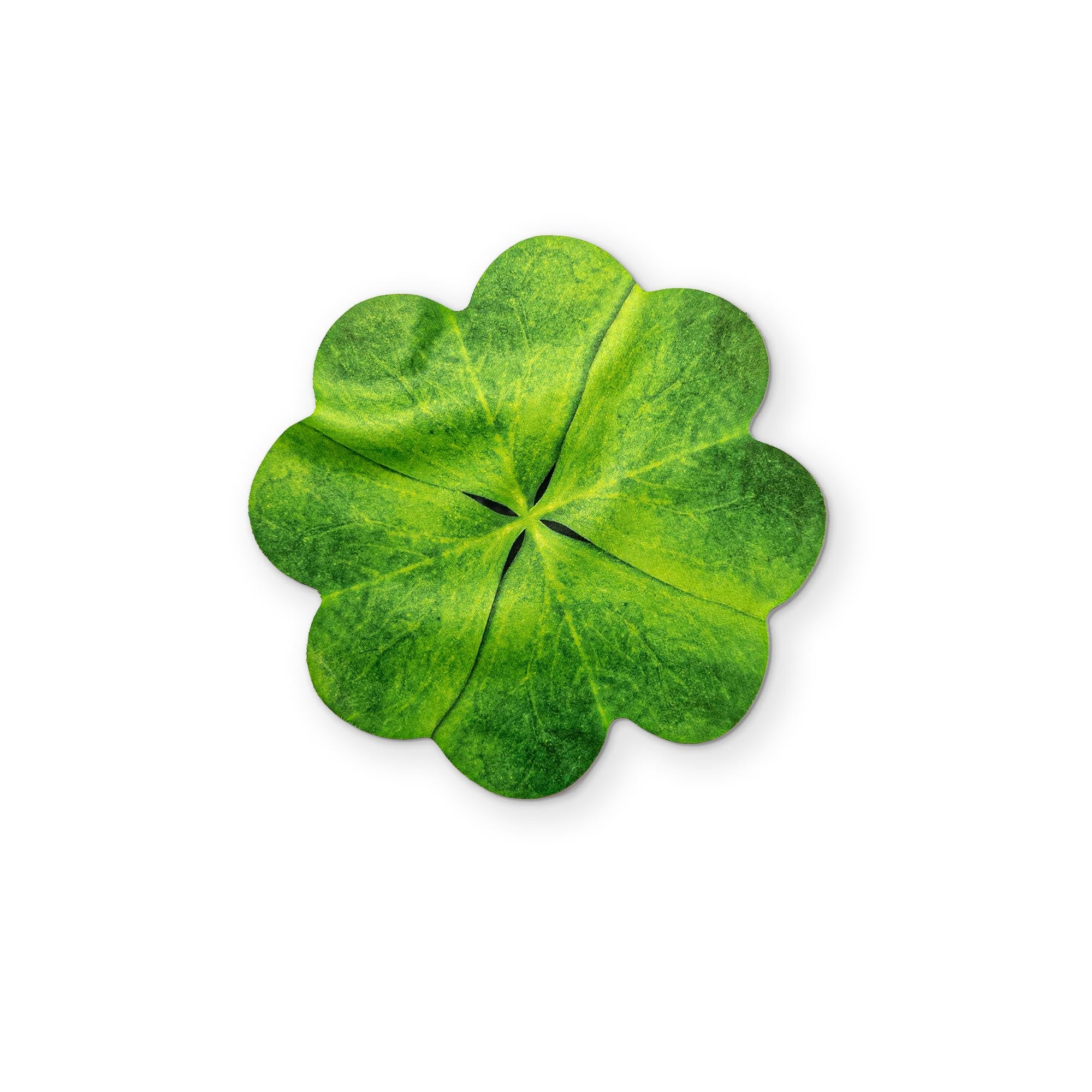 🍀 A FOUR-LEAF CLOVER YOU CAN CLEAN YOUR GLASSES WITH
